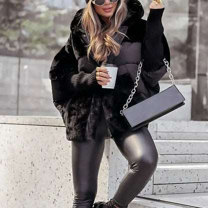 NOLINA — Élégance, Confort, Distinction